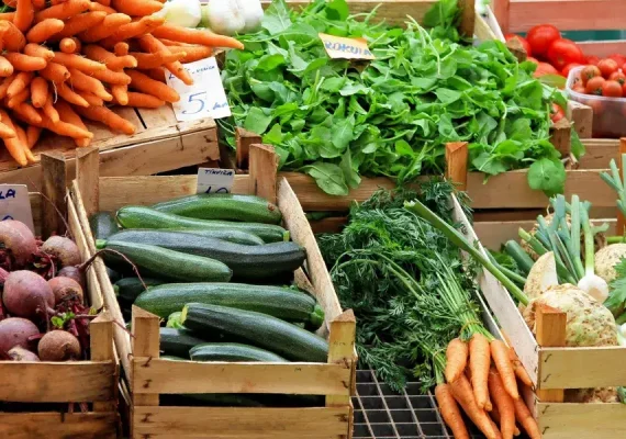 Discover Knoxville’s Farmers Markets: 4 Markets with Fresh Local Finds