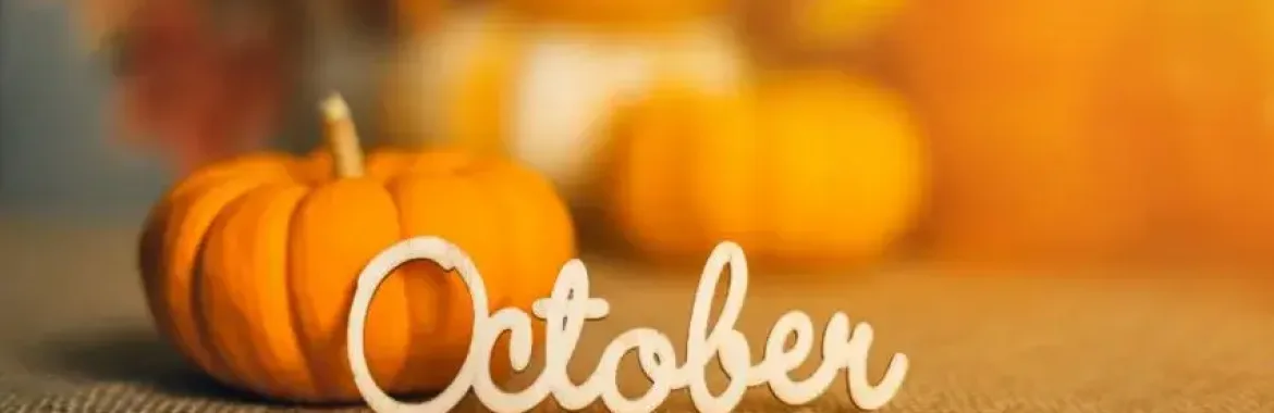 Knoxville’s October 2024 Must-Visit Events: Your Fall Guide