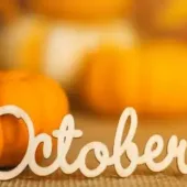 Knoxville’s October 2024 Must-Visit Events: Your Fall Guide