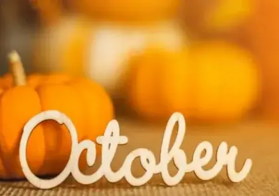 Knoxville’s October 2024 Must-Visit Events: Your Fall Guide